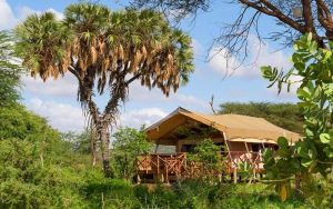 luxury Elephant Bedroom Camp located in the area of Samburu in Kenya