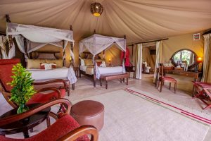 Mara Ngenche Safari Camp in Masai Mara in Kenya