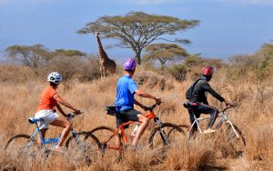 cycling safari in Amboseli