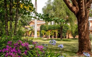 House of Waine, small luxury lodge located in Nairobi, Kenya