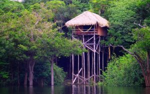Juma Lodge, a small boutique jungle lodge in the Brazilian Amazon