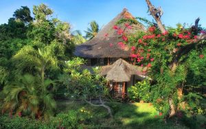 beachfront hotel Temple Point Resort located in Watamu, Kenya