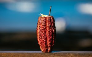 fresh cacao drink on the beach in Brazil