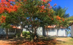 Alma Tropical Resort, rustic beach hotel in Bahia, Brazil