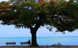 A view of Baia dos Todos os Santos in Salvador de Bahia, Brazil