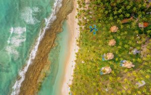 aerial view of the coconut grove around the boutique beachfront hotels of Pontal dos Carneiros in Pernambuco, Brazil