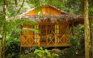 Pousada Bawary, small jungle lodge in São Gabriel da Cachoeira, Amazonas, Brazil