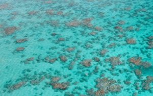 The snorkelling reef in Maracajau, Brazil