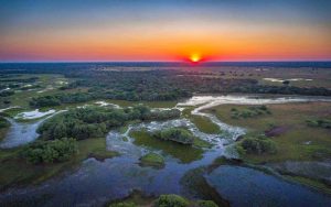 Pantanal wetlands from above, Brazil