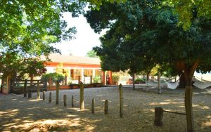 Fazenda Baia das Pedras, Pantanal, Brazil