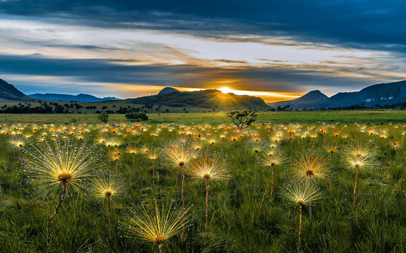Chuveirinhos in Chapada dos Veadeiros