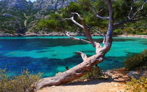 Calanque de Sormiou