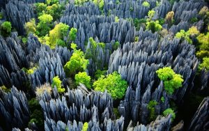 Tsingy de Bemaraha