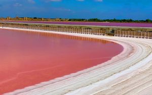 the pink lake of Aigues Mortes in the south of France