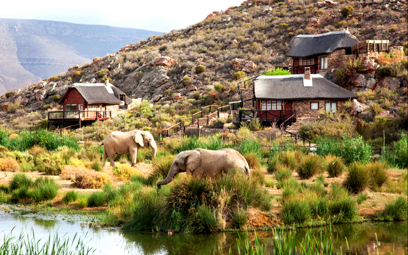 Aquila Private Game Reserve
