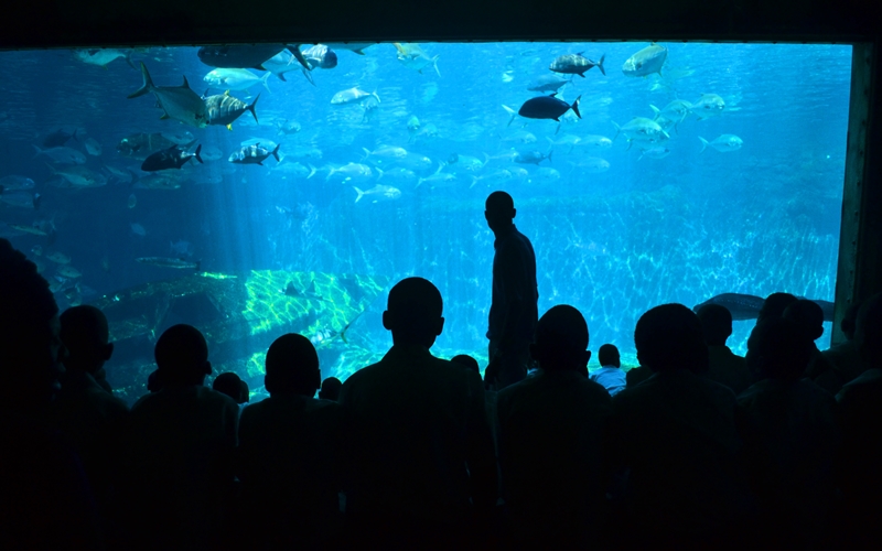 uShaka Marine World in Durban
