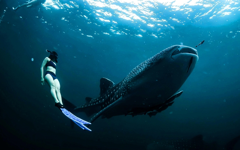 Mexico Adventure and Ecotourism
