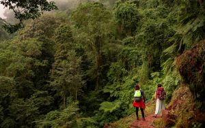 San Juan, the Jungles of Oaxaca, Mexico