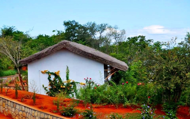 Soleil des Tsingy, Bekopaka, Madagascar