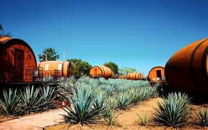 Tequila Town, Mexico