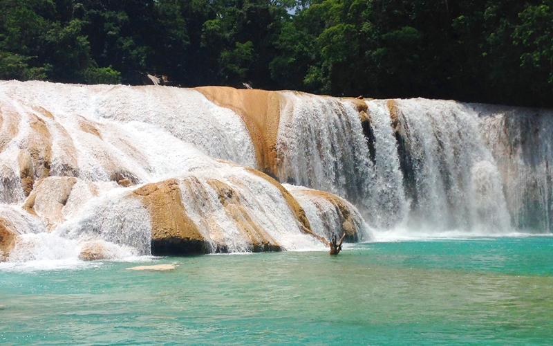 Agua Azul Cascadas, Chiapas