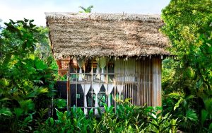 Calanoa Jungle Lodge, Colombia