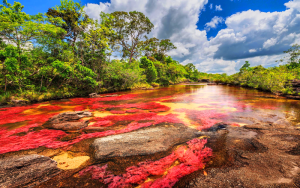 Cano Cristales, La Macarena, Colombia