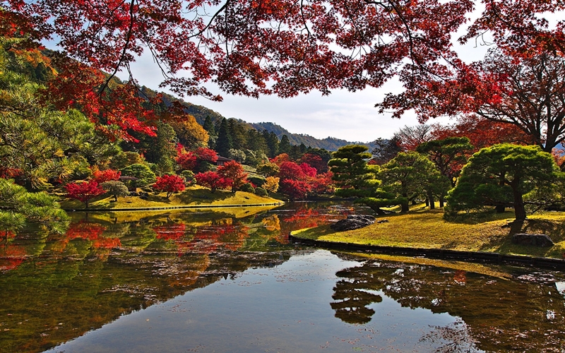 Japanese Garden