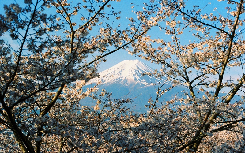 Mount Fuji, Japan