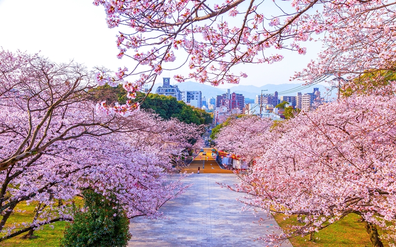 Nishi Park, Japan
