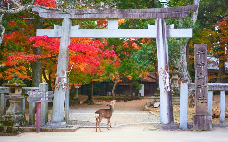 Japan's Religious and Spiritual Sites