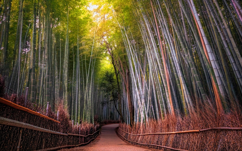 Arashiyama in Kyoto, Japan