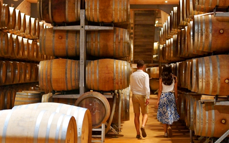 Babylonstoren Cellar, South Africa