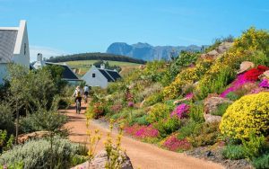 Franschhoek Winelands, South Africa