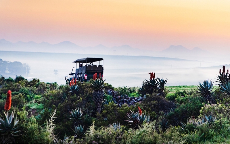 Garden Route in South Africa