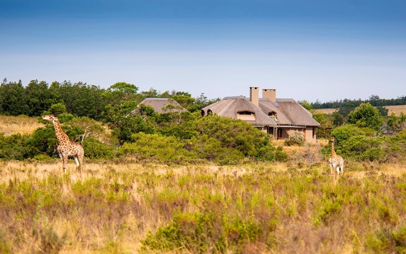 Malaria free safari in South Africa