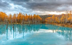 Shirogane Blue Pond, Japan