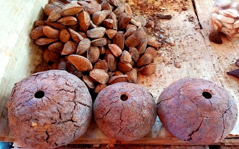 Brazilian Nuts