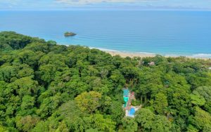 Cariblue Beach and Jungle Resort, Puerto Viejo, Costa Rica