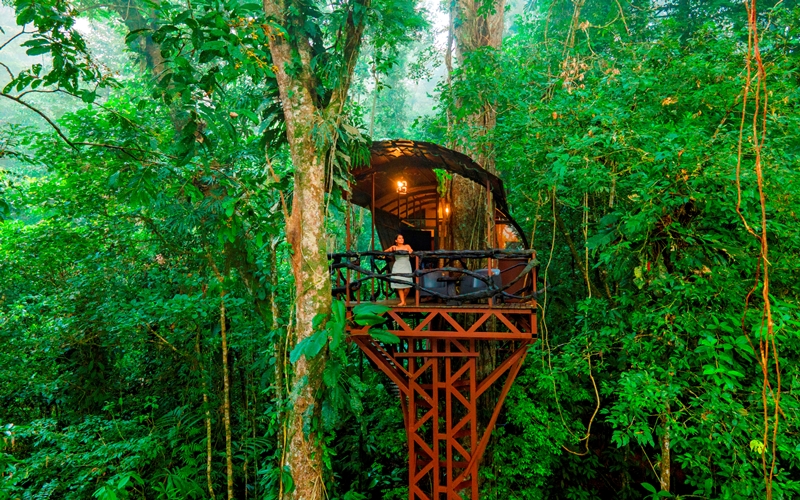 Maquenque Ecolodge, Boca Tapata, Costa Rica