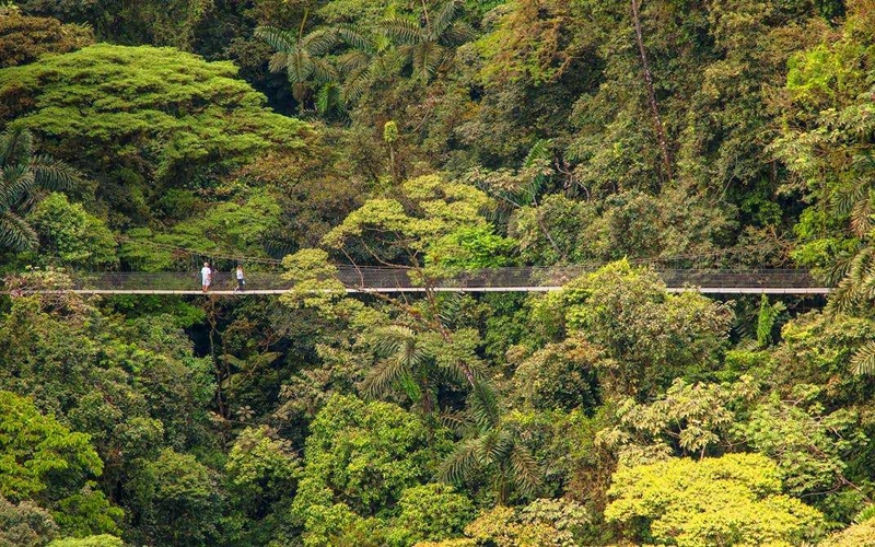 Arenal Hanging Bridges, Costa Rica
