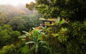 Bio Habitat Hotel, Armenia, Colombia