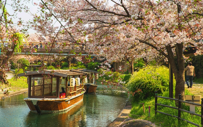 Kyoto Philosopher’s Path, Japan