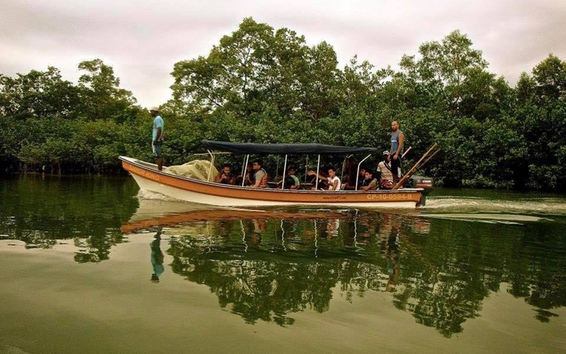 Mangroves of Nuqui, Colombia