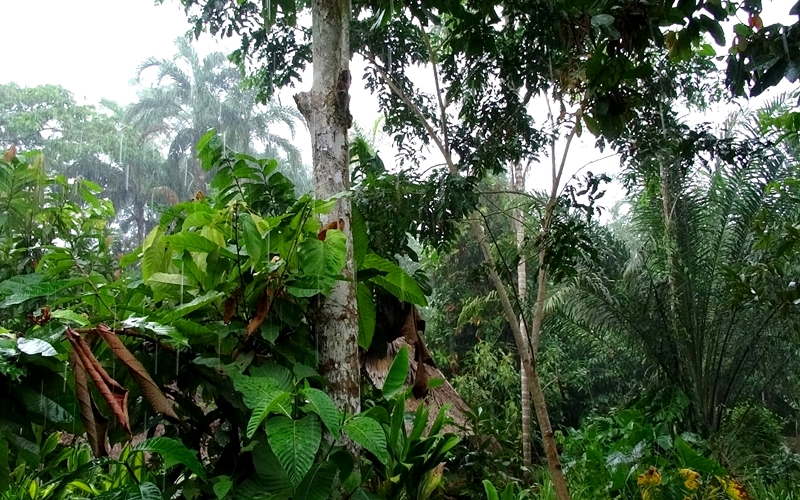 Mundo Amazónico, Leticia, Colombia