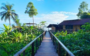Pacific Nuqui Lodge, Colombia