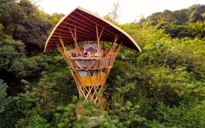 Selva Minca, Jungle Retreat, Colombia