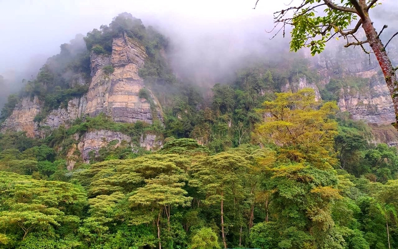 Chicaque Natural Park, Colombia