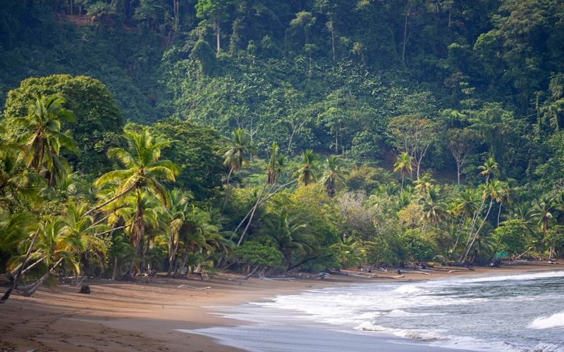 Costa Rica Osa Peninsula