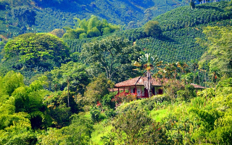 Hacienda Valencia, Manizales, Colombia